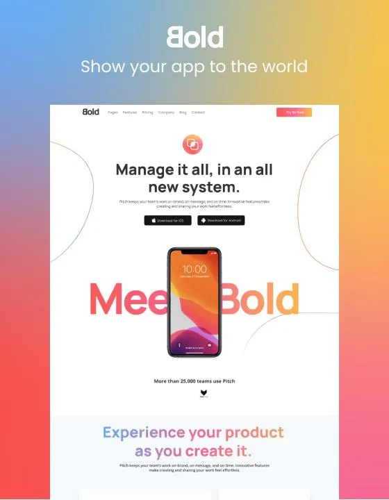 Bold — SaaS Webflow örneği