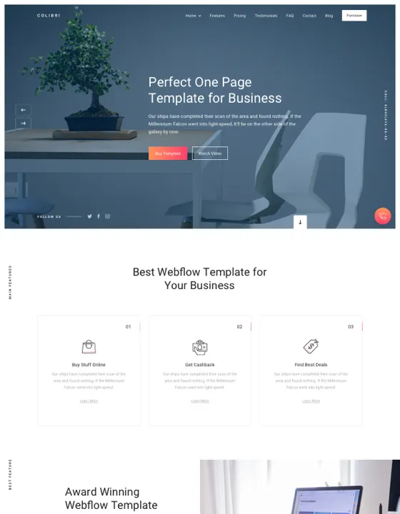 Colibri — Ajans Webflow örneği