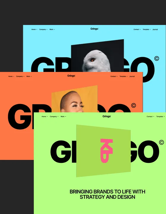 Gringo — Ajans Webflow örneği