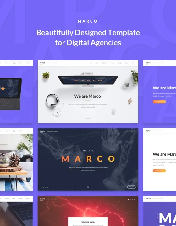 Marco — Ajans Webflow örneği