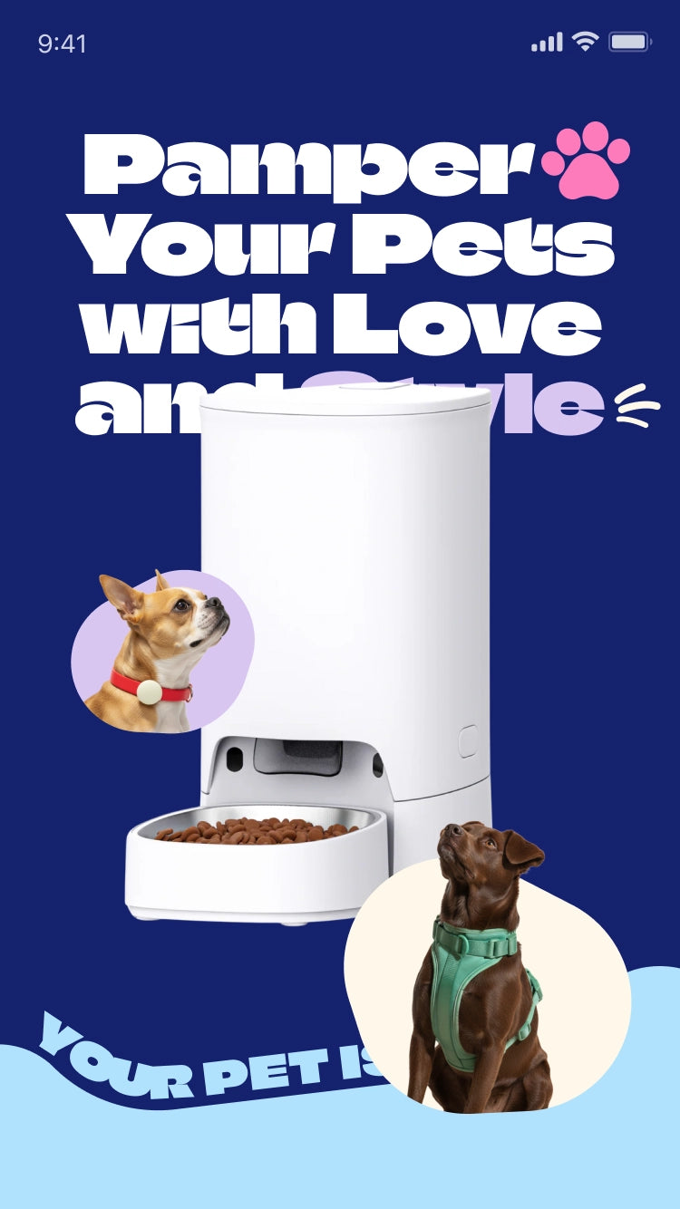 Mealtime — Futurer — Petshop Shopify örneği
