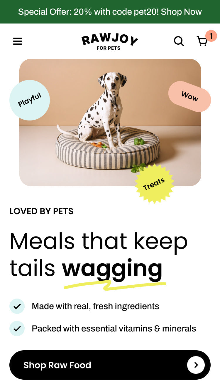 Rawjoy — Pebble — Petshop Shopify örneği