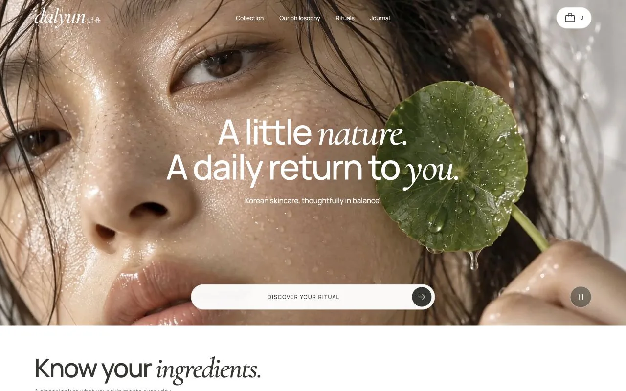 DALYUN — website preview