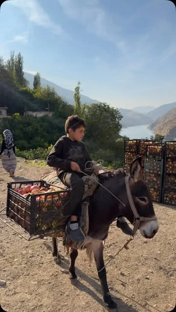 Yedi Değirmen — seçili Instagram paylaşımı 1