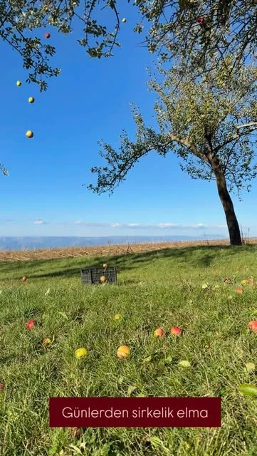 Yedi Değirmen — seçili Instagram paylaşımı 2