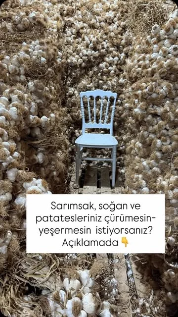 Yedi Değirmen — seçili Instagram paylaşımı 3