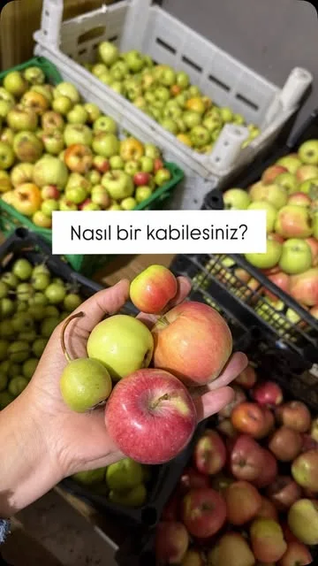 Yedi Değirmen — seçili Instagram paylaşımı 6