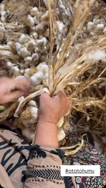 Yedi Değirmen — seçili Instagram paylaşımı 8
