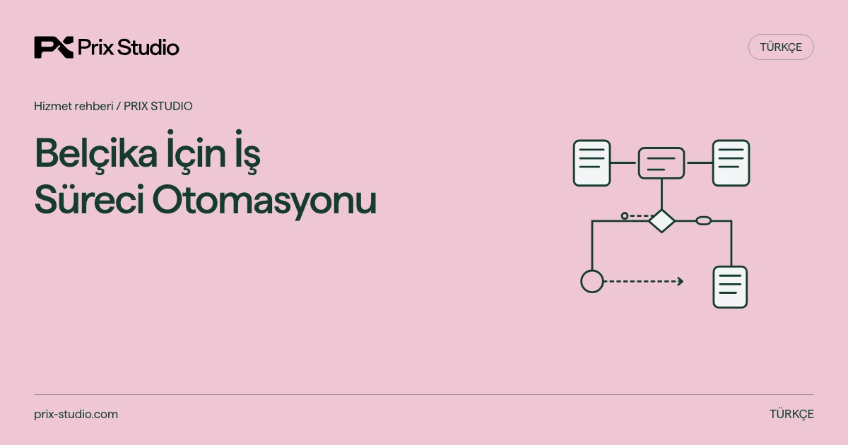 Belçika İçin İş Süreci Otomasyonu — kaynakta açıklanan görev, sorumluluk ve teslim kararlarının kavramsal diyagramı.