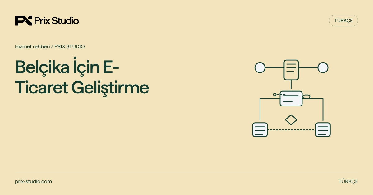 Belçika İçin E-Ticaret Geliştirme — kaynakta açıklanan görev, sorumluluk ve teslim kararlarının kavramsal diyagramı.