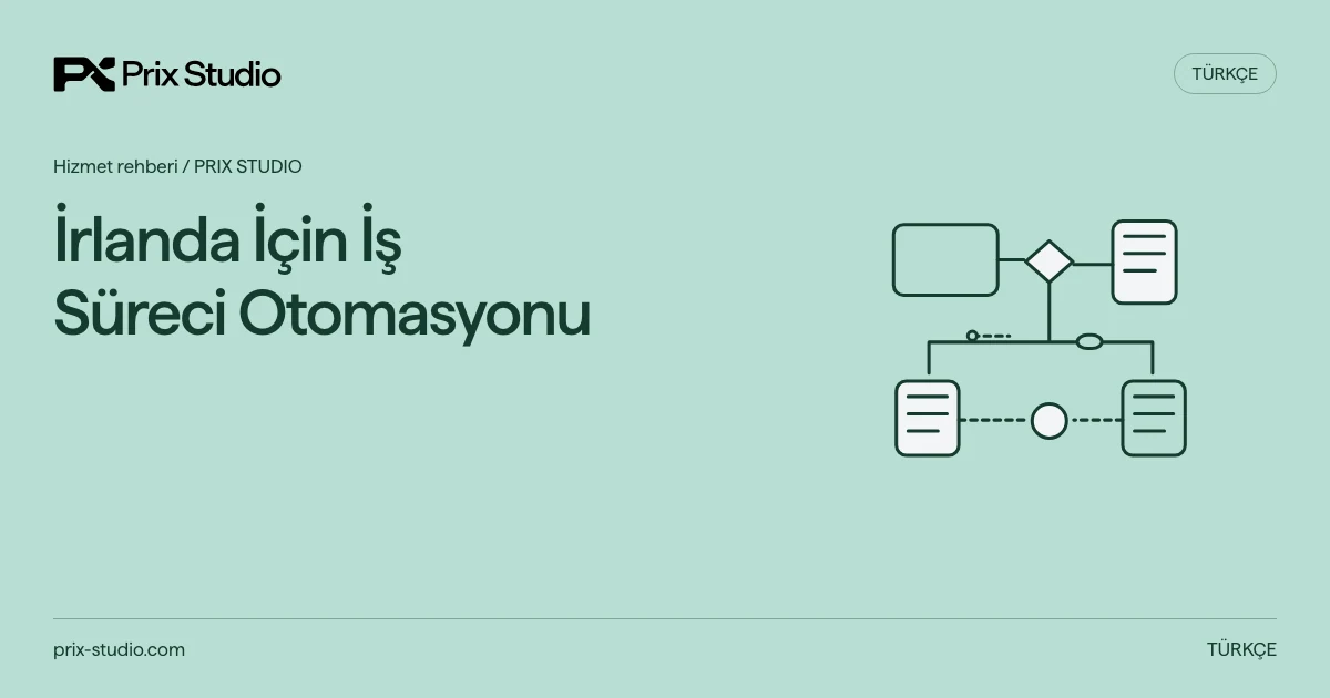 İrlanda İçin İş Süreci Otomasyonu — kaynak görevi, yetki ve inceleme akışının kavramsal diyagramı.