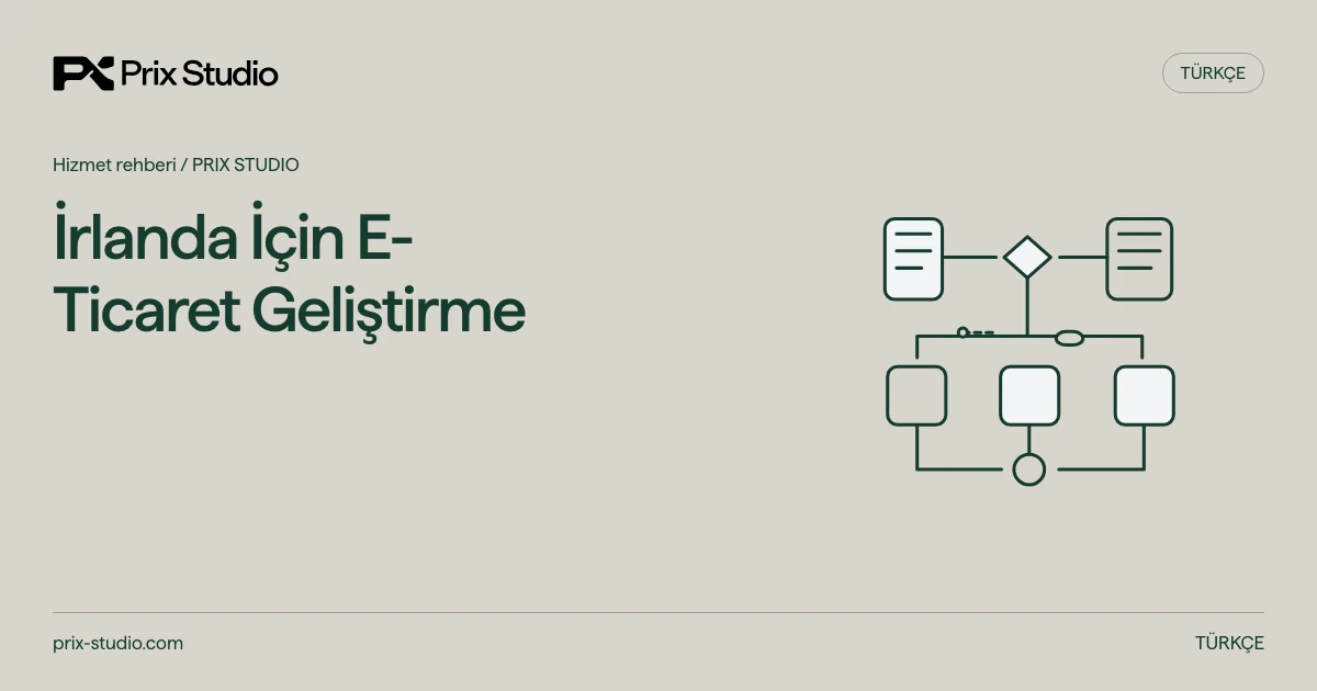 İrlanda İçin E-Ticaret Geliştirme — kaynak görevi, yetki ve inceleme akışının kavramsal diyagramı.