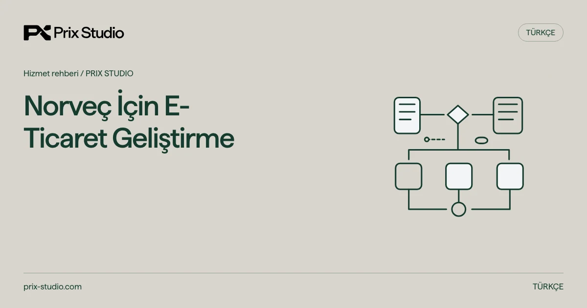 Norveç İçin E-Ticaret Geliştirme — kaynak görevi, yetki ve inceleme akışının kavramsal diyagramı.