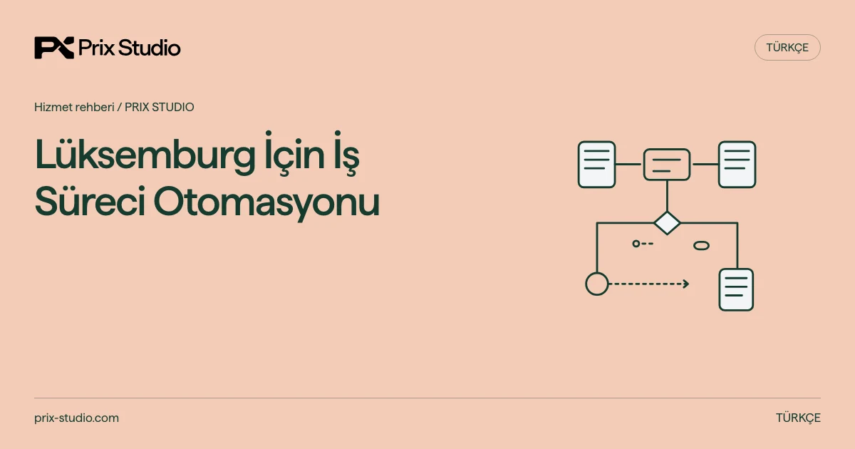 Lüksemburg İçin İş Süreci Otomasyonu — kaynakta açıklanan görev, sorumluluk ve teslim kararlarının kavramsal diyagramı.