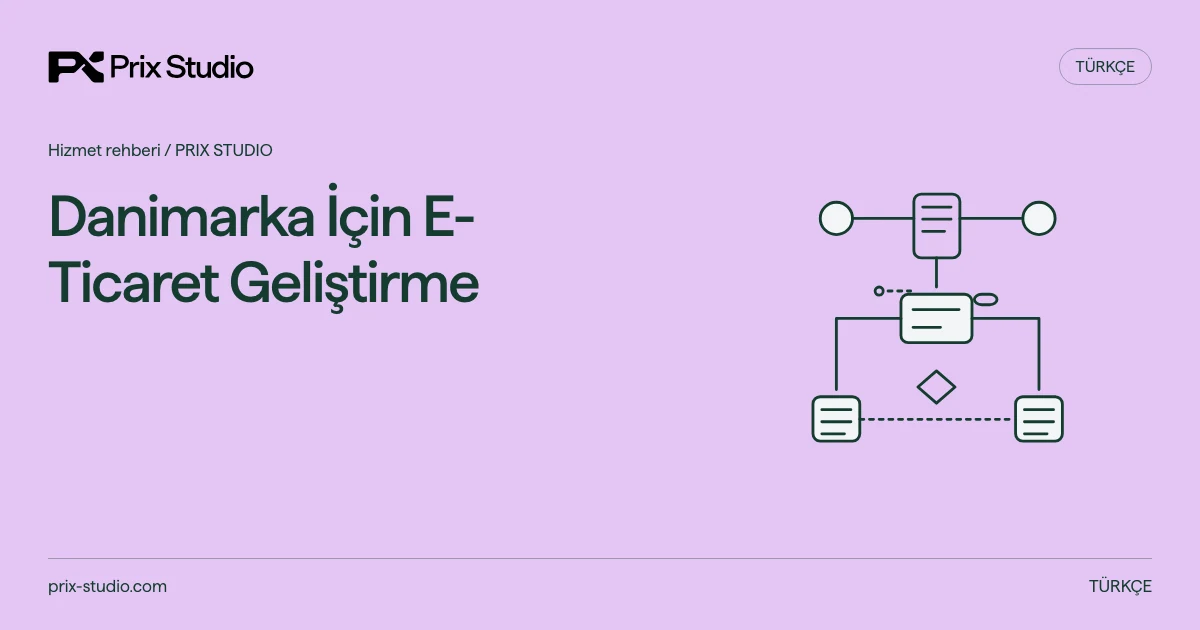 Danimarka İçin E-Ticaret Geliştirme — kaynakta açıklanan görev, sorumluluk ve teslim kararlarının kavramsal diyagramı.