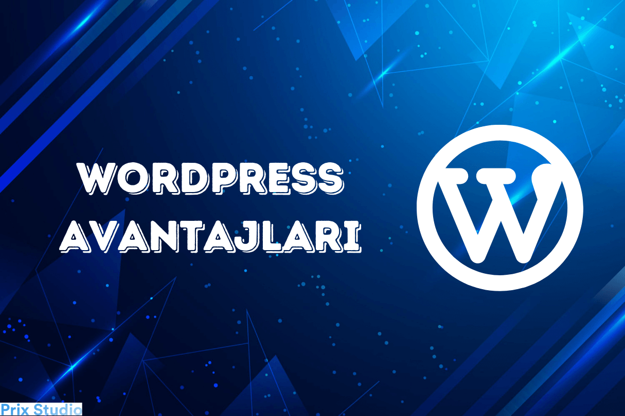 WordPress'in Artıları ve Eksileri